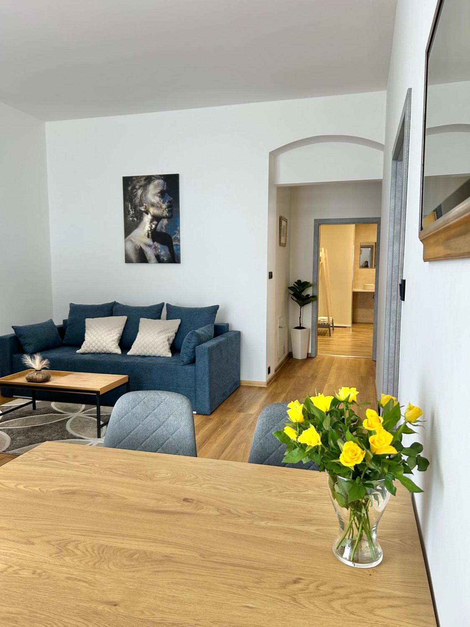 Apartment Dita Karlovy Vary Exteriér fotografie